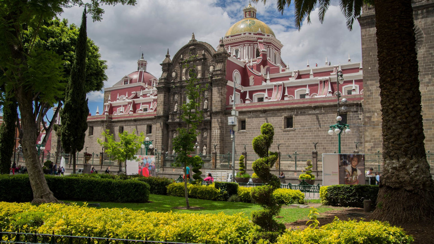 City Tour Peatonal