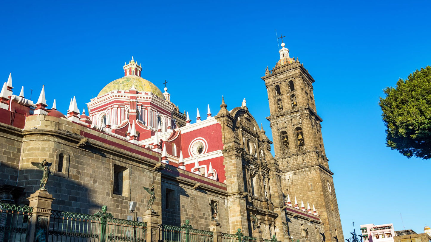 City Tour Peatonal