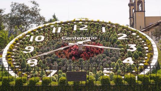 Tour Zacatlan y Chignahuapan